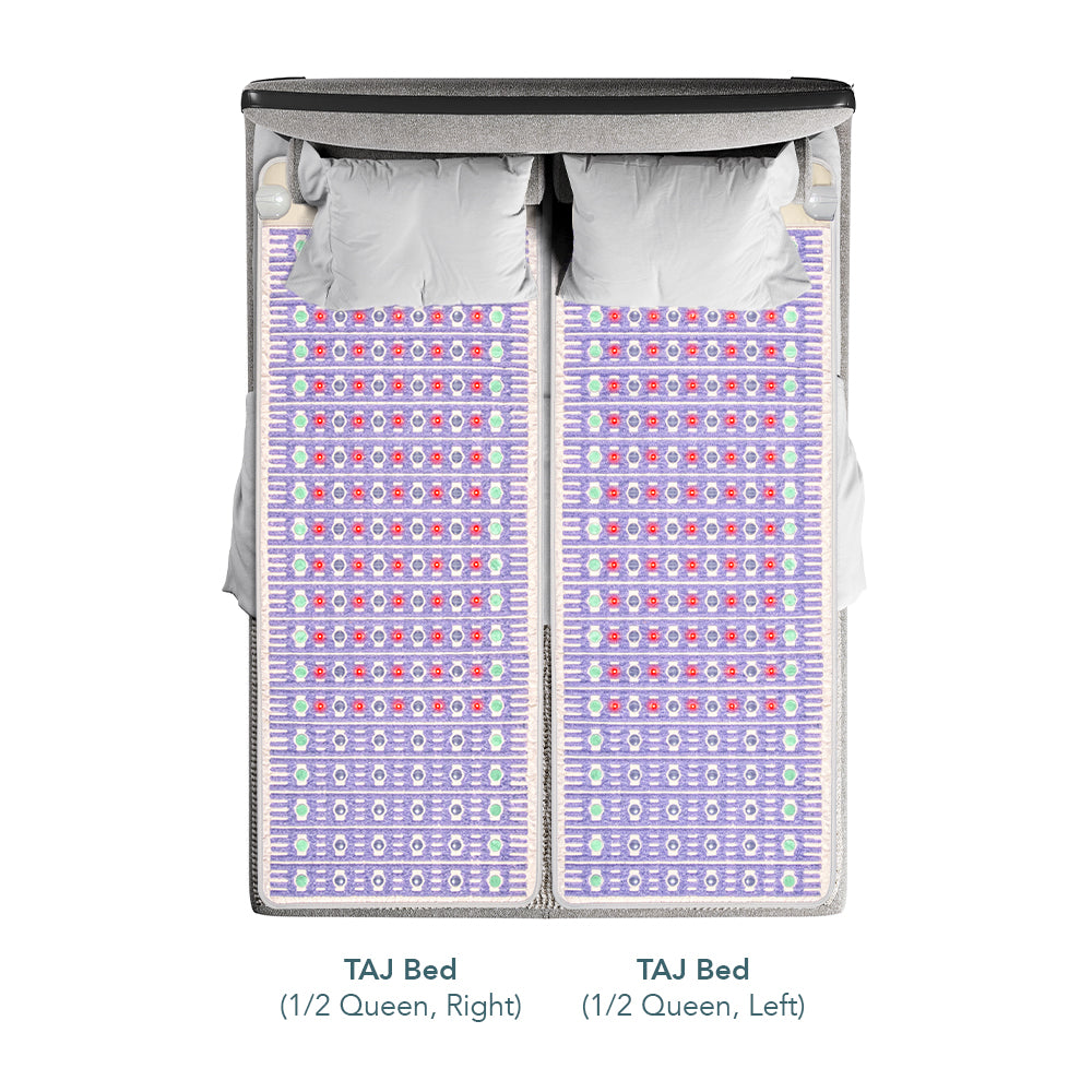 
                  
                    The TAJ Bed Series - Mattress Toppers
                  
                