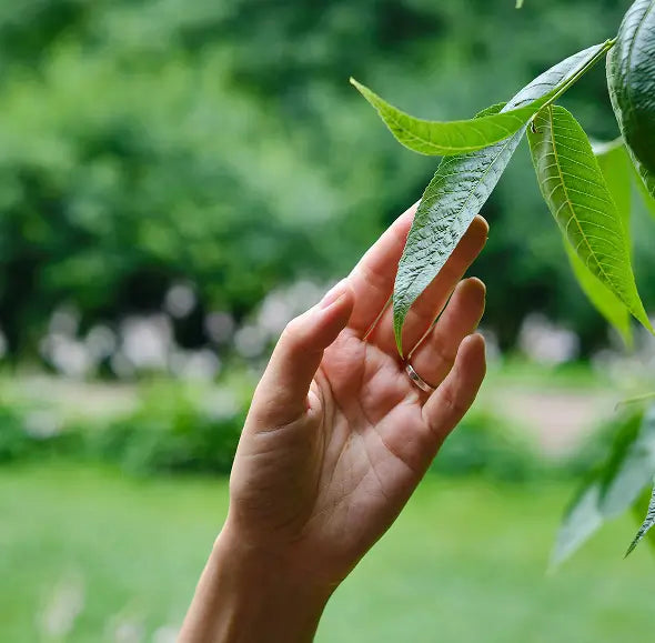 Negative Ion Therapy